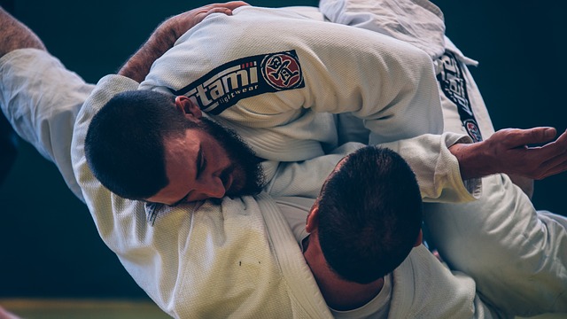 The best jiu jitsu rash guards do not roll up and allow you to focus on your training while keeping you cool.