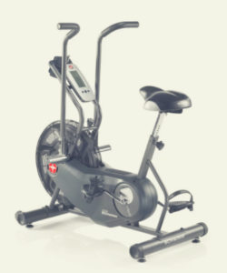 Schwinn Airdyne AD6 1