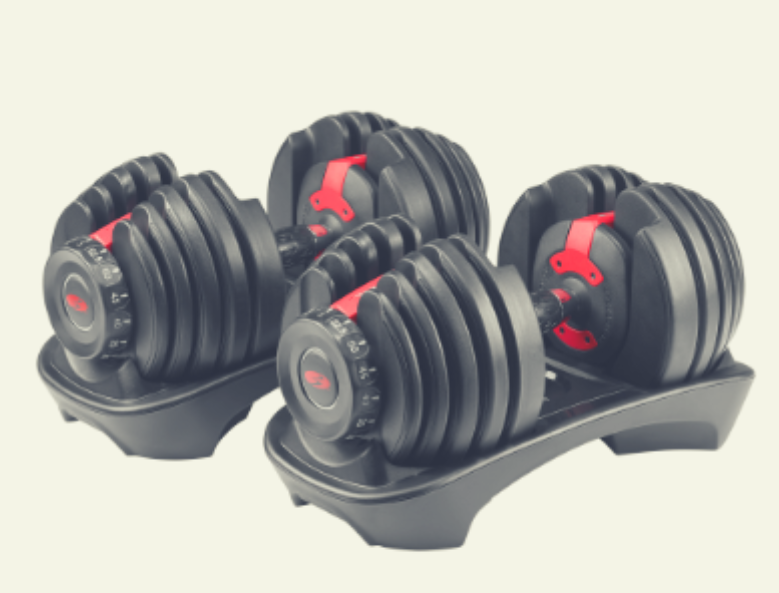 Bowflex SelectTech 552 Dumbbells 1