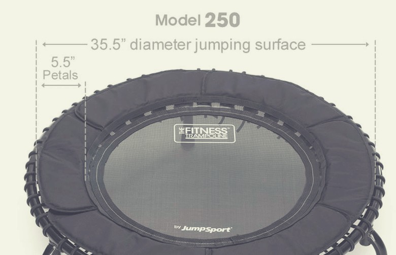 JumpSport 250 Fitness Trampoline 3