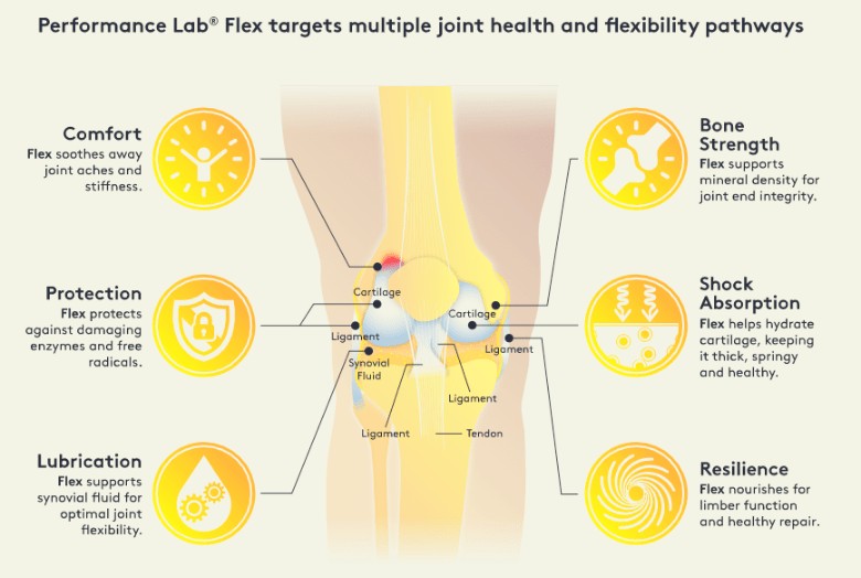 Performance Lab Flex 2