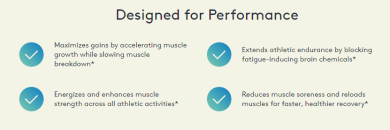 Performance Lab® SPORT BCAA 5