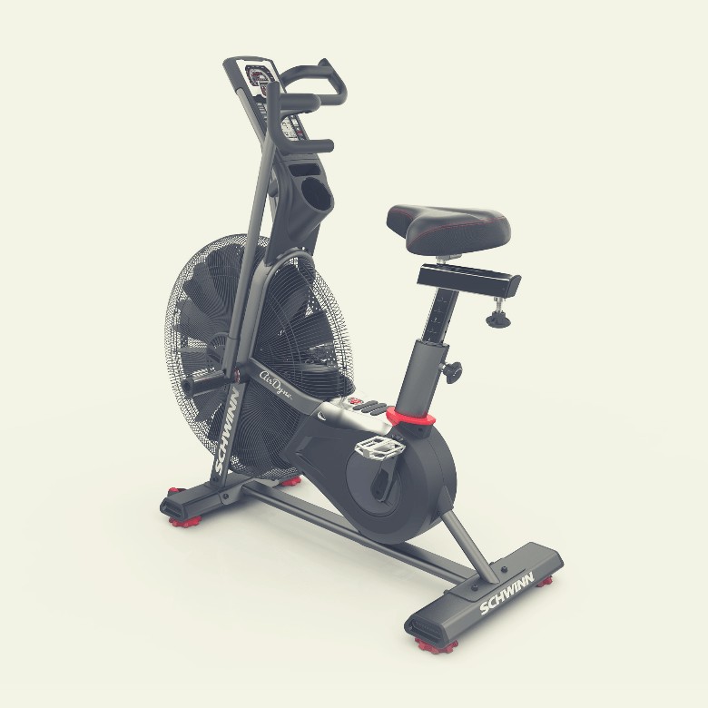 Schwinn Airdyne AD7 Review 5