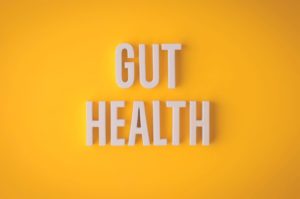 gut-health-digestion 1
