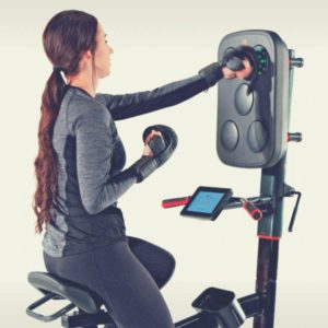 LifeSpan CYCLE BOXER Upright Bike 5