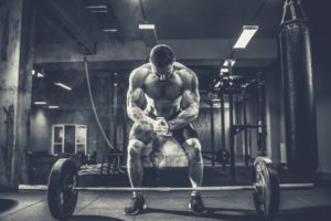 Newbie Gains Muscle Growth for the Complete Beginner 2