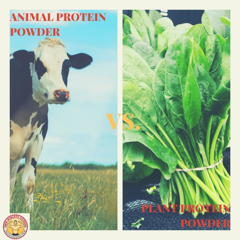 Animal Protein Powder vs. Plant Based Protein Powder | Non-Athlete Fitness