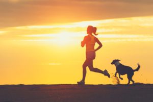Exercising With your Dog 3