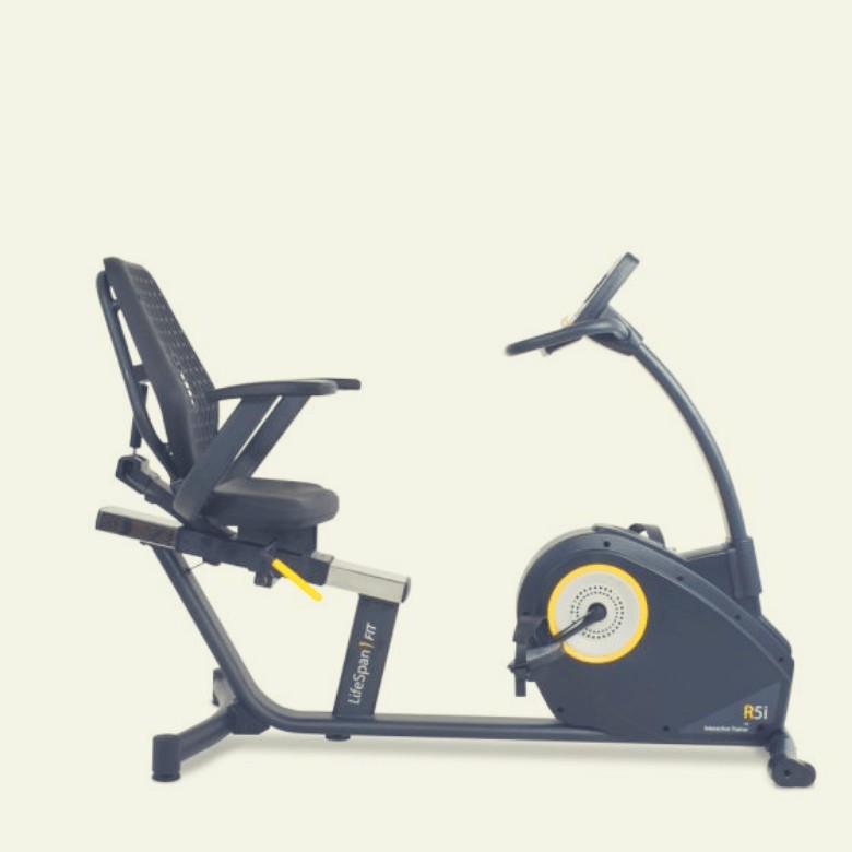 LifeSpan R5i Recumbent Bike 2