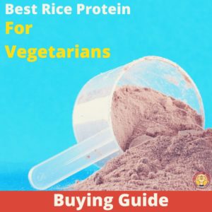 Best Rice Protein For Vegetarians 2