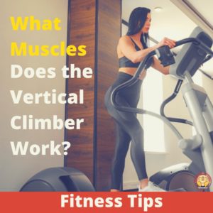 What Muscles Does the Vertical Climber Work 2