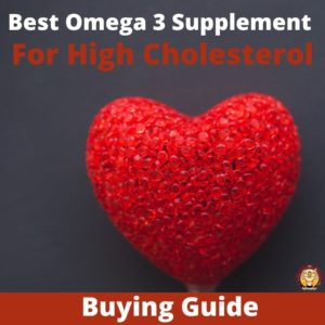 Best Omega 3 Supplement For High Cholesterol-min