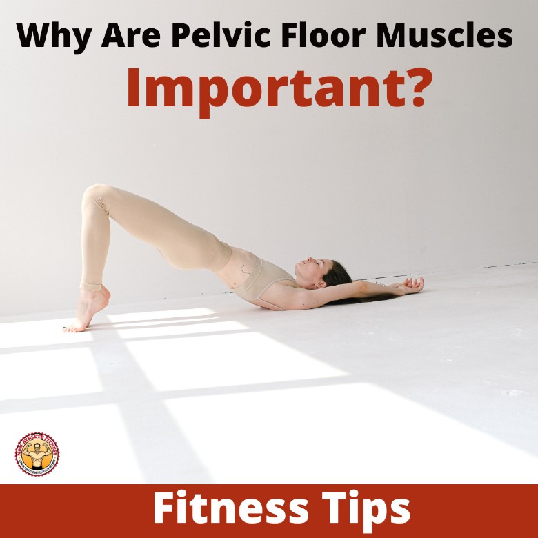 Why Are Pelvic Floor Muscles Important-min